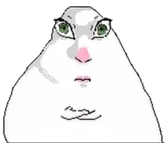 hamster number 002