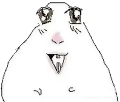 hamster number 008