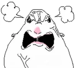 hamster number 009