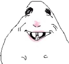 hamster number 010