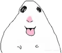 hamster number 013