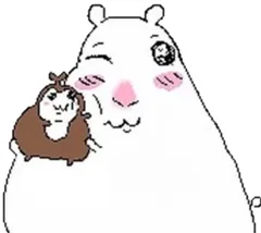 hamster number 016