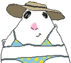 hamster number 018