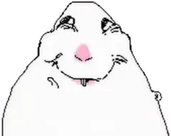 hamster number 024