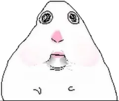 hamster number 033