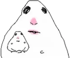 hamster number 037