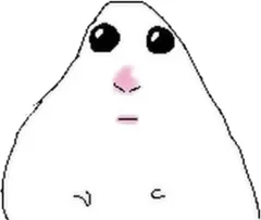 hamster number 048