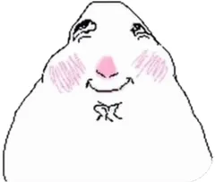 hamster number 060