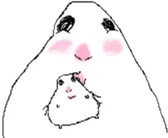 hamster number 082