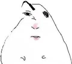 hamster number 116