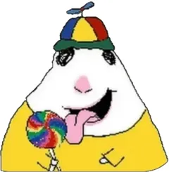 hamster number 120